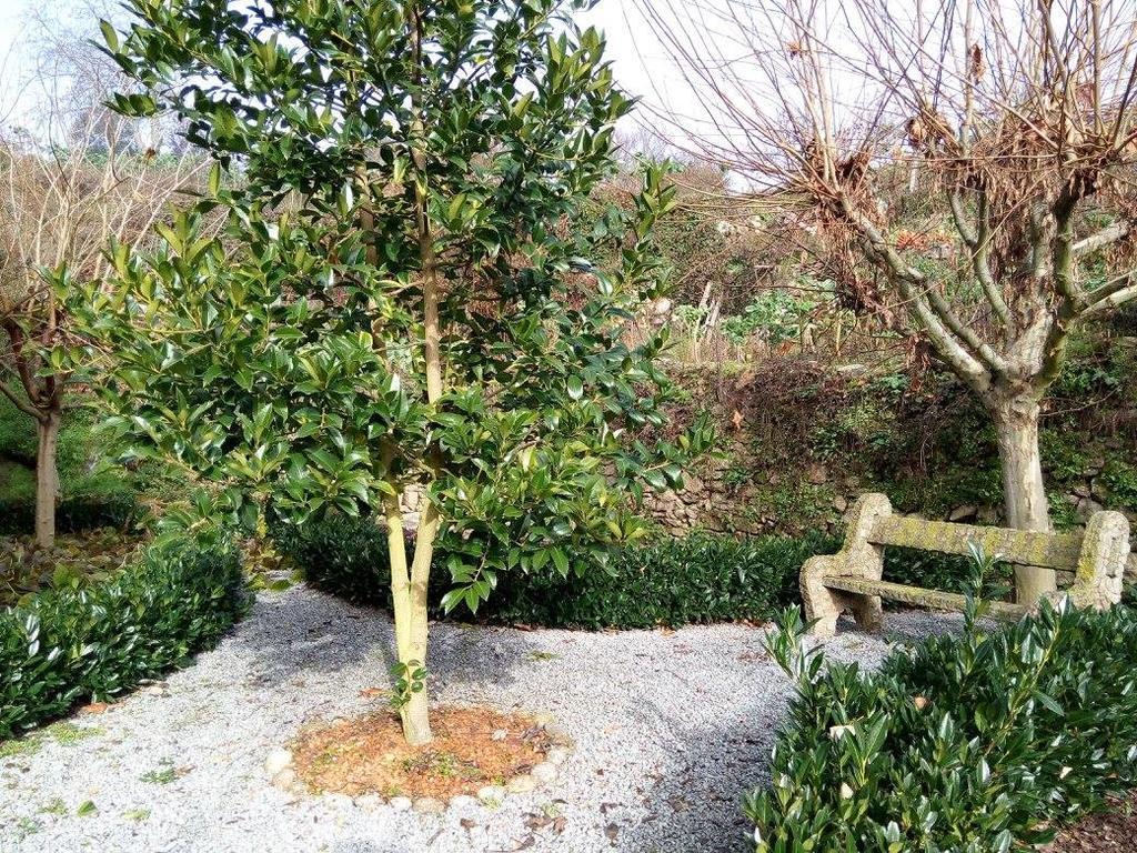 Casa Do Terrenho Villa Dış mekan fotoğraf